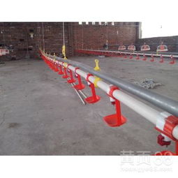 飼養(yǎng)專用設(shè)備環(huán)保機械喂養(yǎng)養(yǎng)殖水線——水資源專用機械設(shè)備制造